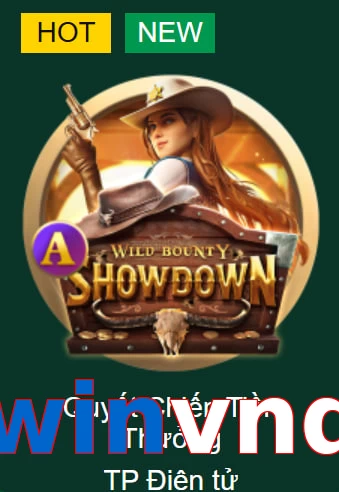 winvnd