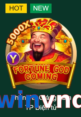 winvnd