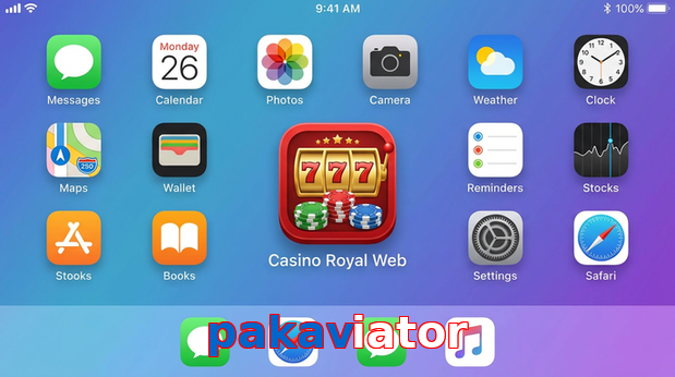 Payment and PKR controls in Pakaviator
